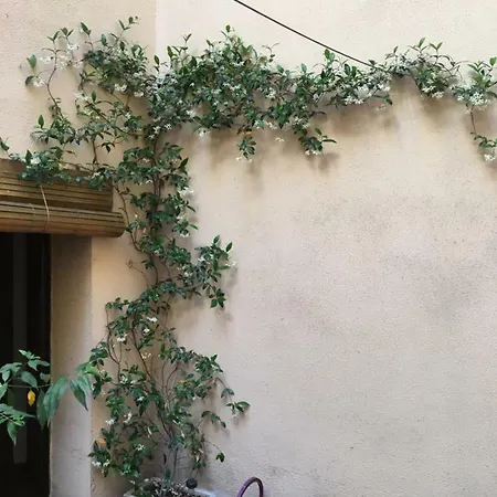 Apartment Vut Plaza Del Rastro