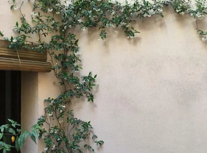 Appartement Vut Plaza Del Rastro